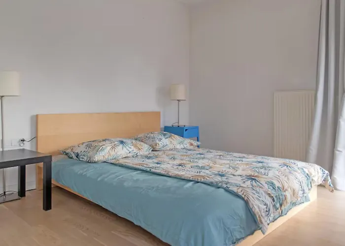 Castor * 克拉科夫